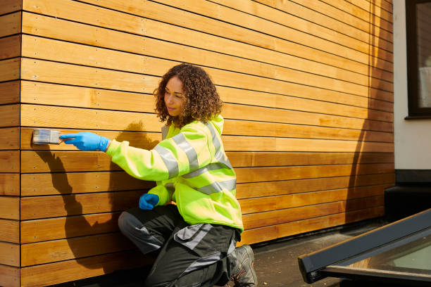 Best Siding Replacement  in Algona, IA