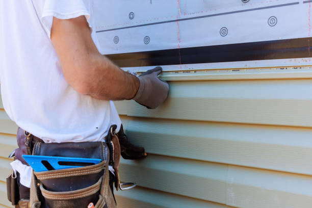 Best Custom Trim and Detailing for Siding  in Algona, IA