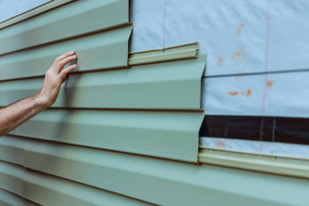 Best Custom Trim and Detailing for Siding  in Algona, IA